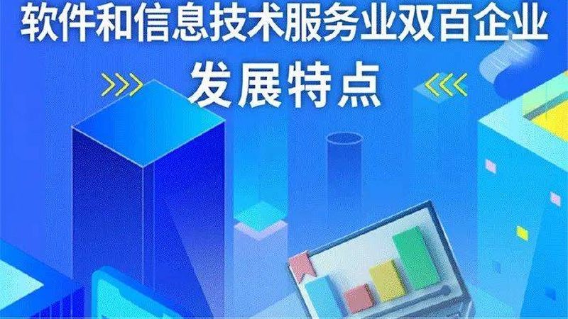 IT外包定制开发与自建：选择之道，解密差异